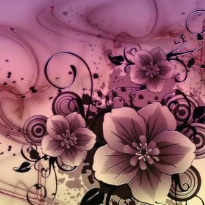 Meet your Posher, Kelli